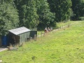 Aerial View (3)