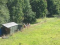 Aerial View (5)