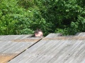 Roof needs some work