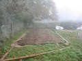 Foundations in the mist