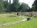 Completing the circuit