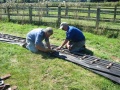 Golden Spike (1)