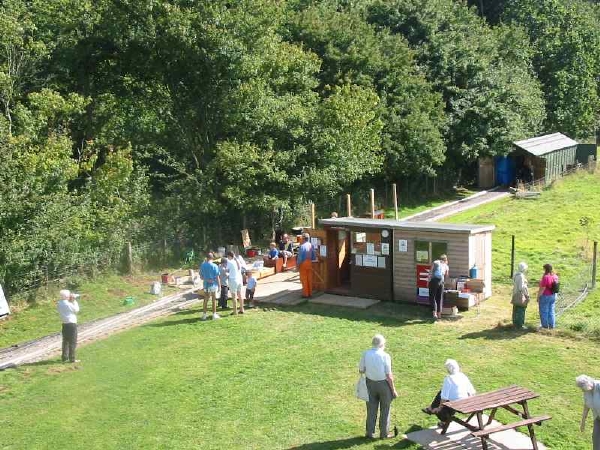 Aerial View (15)