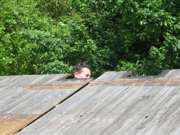 Roof needs some work