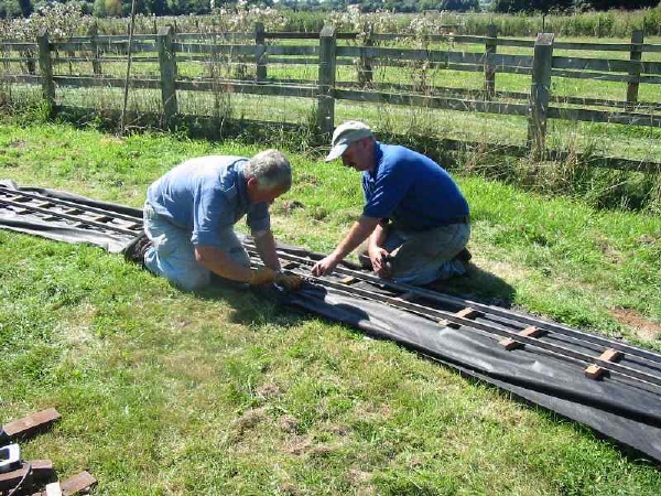 Golden Spike (1)