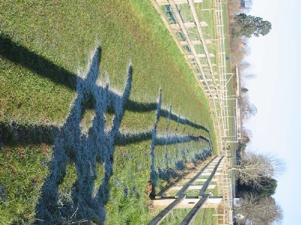 Sun and shadow