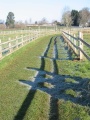Sun and shadow