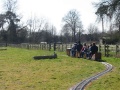 Spring Lambing